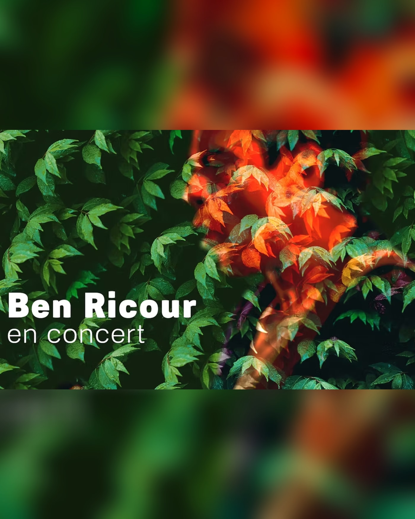 Ben Ricour