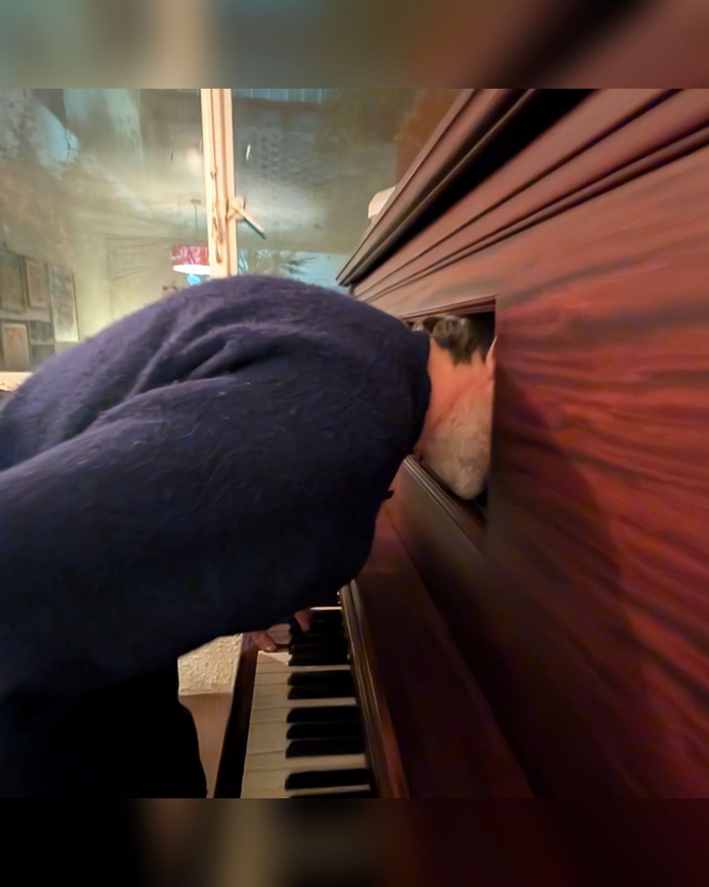 Patrick Watson